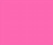 Image result for Bright Pink